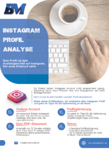 Instagram Profilanalyse